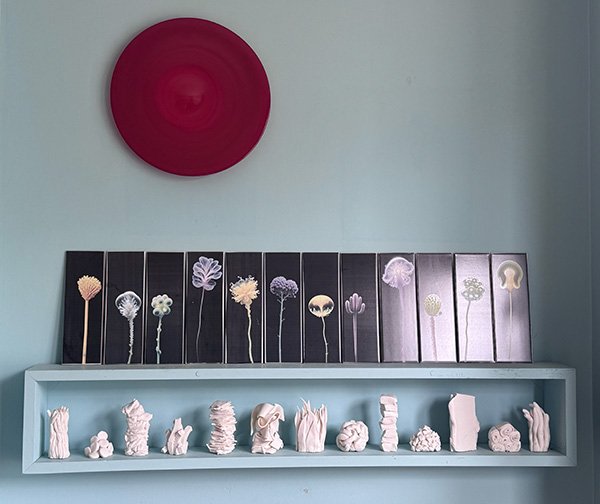 colouredceramics