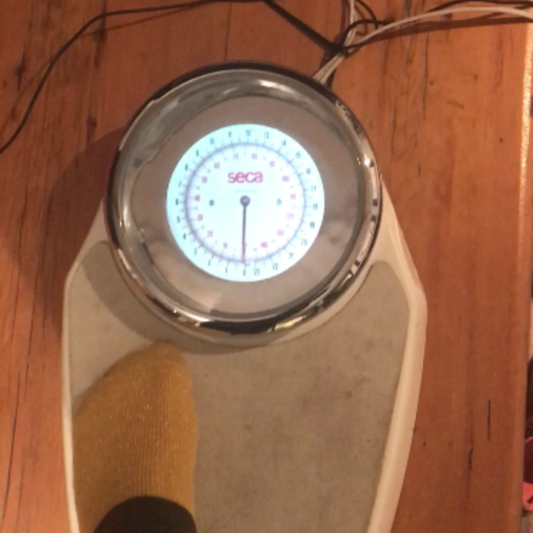 FreedomScales